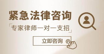 图析普陀区长风新村街道公司资产管理 为何需要专业律师咨询与上海法律支持